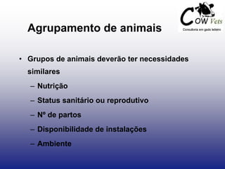 Agrupamento de animais
• Grupos de animais deverão ter necessidades
similares
– Nutrição
– Status sanitário ou reprodutivo
– Nº de partos
– Disponibilidade de instalações
– Ambiente
 