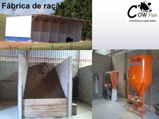 Fábrica de ração
 