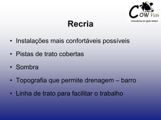 Recria
• Instalações mais confortáveis possíveis
• Pistas de trato cobertas
• Sombra
• Topografia que permite drenagem – barro
• Linha de trato para facilitar o trabalho
 
