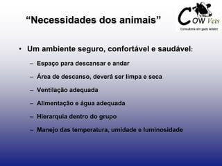 “Necessidades dos animais”
• Um ambiente seguro, confortável e saudável:
– Espaço para descansar e andar
– Área de descanso, deverá ser limpa e seca
– Ventilação adequada
– Alimentação e água adequada
– Hierarquia dentro do grupo
– Manejo das temperatura, umidade e luminosidade
 