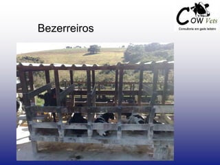 Bezerreiros
 