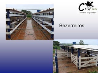 Bezerreiros
 