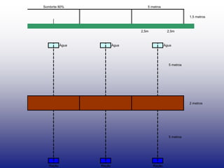 5 metros
1,5 metros
Água Água Água
5 metros
2 metros
5 metros
Ração Ração Ração
2,5m 2,5m
Sombrite 80%
 