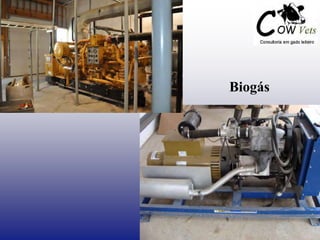 Biogás
 