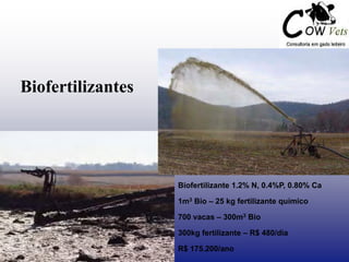 Biofertilizantes
Biofertilizante 1.2% N, 0.4%P, 0.80% Ca
1m3 Bio – 25 kg fertilizante químico
700 vacas – 300m3 Bio
300kg fertilizante – R$ 480/dia
R$ 175.200/ano
 