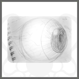 Projeto Interdisciplinar Design Digital: Outra Visão