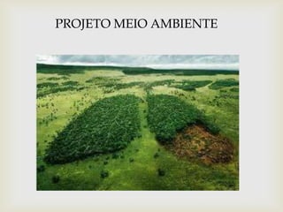 PROJETO MEIO AMBIENTE