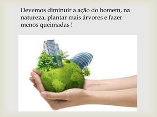 Devemos diminuir a ação do homem, na
natureza, plantar mais árvores e fazer
menos queimadas !