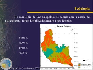 Pedologia   No município de São Leopoldo, de acordo com a escala de mapeamento, foram identificados quatro tipos de solos: Figura 19 – (Nascimento, 2001)   44,09 % 36,97 % 17,83 % 0,55 % 