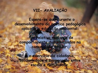 VII- AVALIAÇÃO Espera-se que durante o desenvolvimento da prática pedagógica aplicada a educação ambiental: -  a relativa mudança de comportamento dos educandos na comunidade escolar; - o exercício da cidadania, solidariedade e cooperação entre escola e comunidade. 