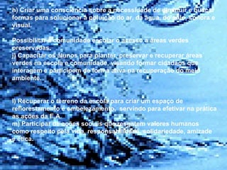 h) Criar uma consciência sobre a necessidade de diminuir e buscar formas para solucionar a poluição do ar, da água, do solo, sonora e visual. Possibilitar a comunidade escolar o acesso a áreas verdes preservadas. j) Capacitar os alunos para plantar, preservar e recuperar áreas verdes na escola e comunidade, visando formar cidadãos que interagem e participem de forma ativa na recuperação do meio ambiente. l) Recuperar o terreno da escola para criar um espaço de reflorestamento e embelezamento,  servindo para efetivar na prática as ações da E.A. m) Participar de ações sociais que resgatem valores humanos como respeito pela vida, responsabilidade, solidariedade, amizade e ética.  