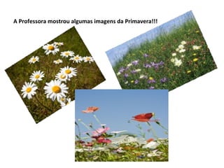 A Professora mostrou algumas imagens da Primavera!!!
 