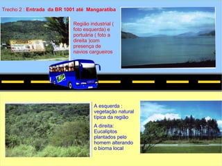 Relatório Geográfico