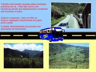 Relatório Geográfico