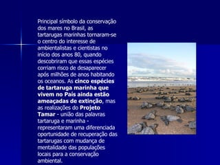 Principal símbolo da conservação dos mares no Brasil, as tartarugas marinhas tornaram-se o centro do interesse de ambientalistas e cientistas no início dos anos 80, quando descobriram que essas espécies corriam risco de desaparecer após milhões de anos habitando os oceanos. As  cinco espécies de tartaruga marinha que vivem no País ainda estão ameaçadas de extinção , mas as realizações do  Projeto Tamar  - união das palavras tartaruga e marinha - representaram uma diferenciada oportunidade de recuperação das tartarugas com mudança de mentalidade das populações locais para a conservação ambiental. 