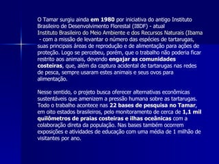 O Tamar surgiu ainda  em 1980  por iniciativa do antigo Instituto Brasileiro de Desenvolvimento Florestal (IBDF) - atual  Instituto Brasileiro do Meio Ambiente e dos Recursos Naturais (Ibama)  - com a missão de levantar o número das espécies de tartarugas, suas principais áreas de reprodução e de alimentação para ações de proteção. Logo se percebeu, porém, que o trabalho não poderia ficar restrito aos animais, devendo  engajar as comunidades costeiras , que, além da captura acidental de tartarugas nas redes de pesca, sempre usaram estes animais e seus ovos para alimentação. Nesse sentido, o projeto busca oferecer alternativas econômicas sustentáveis que amenizem a pressão humana sobre as tartarugas. Todo o trabalho acontece nas  22 bases de pesquisa no Tamar , em oito estados brasileiros, pelo monitoramento de cerca de  1,1 mil quilômetros de praias costeiras e ilhas oceânicas  com a colaboração direta da população. Nas bases também ocorrem exposições e atividades de educação com uma média de 1 milhão de visitantes por ano. 