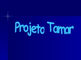 Projeto Tamar 