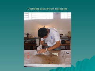Orientação para corte de dessecação 