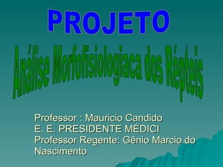 Professor : Mauricio Candido E. E. PRESIDENTE MÉDICI Professor Regente: Gênio Marcio do Nascimento PROJETO Análise Morfofisiologiaca dos Répteis 