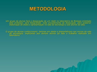 METODOLOGIA   Um grupo de alunos fará a dessecação de um réptil no laboratório de Biologia orientado pelo professor, será fotografado  todo procedimento de dissecação, para posterior elaboração de slides e apresentação na sala de tecnologia a aos alunos da sala; O grupo de alunos confeccionará  laminas em slaids e disponibilizara nos micros da sala de tecnologia, explicando aos demais alunos da sala o trabalho realizado em laboratório 