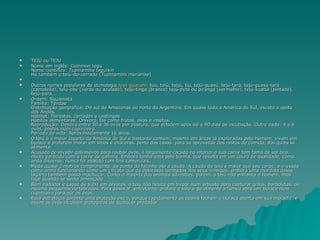 TEIÚ ou TEJU Nome em inglês: Common tegu Nome científico:  Tupinambis teguixin Há também o teiú-do-cerrado ( Tupinambis merianae ) Outros nomes populares de etimologia  tupi-guarani : tuu, teiú, teijú, tiú, tejú-guasú, tejú-tará, tejú-guasú-tará (camaleão), teiú-oby (verde ou azulado), tejú-tinga (branco) tejú-pytá ou piranga (vermelho), tejú-kuatiá (pintado), tejú-pará... Ordem: Squamata Família: Teiidae Distribuição geográfica: Do sul do Amazonas ao norte da Argentina. Em quase toda a América do Sul, exceto a oeste dos Andes. Hábitat: Florestas, cerrados e caatingas Hábitos alimentares: Onívoro. Ele come frutas, ovos e insetos. Reprodução: Desova entre 30 e 36 ovos por postura, que eclodem após 60 a 90 dias de incubação. Outro dado: 4 a 8 ovos, postos num cupinzeiro. Período de vida: Aproximadamente 16 anos. O teiú é o maior lagarto da América do Sul e bastante comum, mesmo em áreas já exploradas pelo homem, vivem em buraco e preferem morar em sítios e chácaras, perto das casas, para se aproveitar dos restos de comida, dos quais se alimenta. Acusado de invadir galinheiros para roubar ovos, é largamente caçado no interior e sua carne tem fama de ser boa, muito parecido com a carne de galinha. Embora tenha uma pele bonita, que resulta em um couro de qualidade, como anda disperso, nunca foi abatido com fins comerciais. Mede quase 2 metros comprimento, da ponta do focinho até a cauda. A cauda do teiú é maior que seu corpo, e é usada como arma funcionando como um chicote que dá dolorosas lambadas nos seus inimigos, embora uma mordida desse lagarto também possa machucar. Como a maioria dos animais silvestres, porém, o teiú não enfrenta o homem, mas foge quando se sente ameaçado. Bom nadador e capaz de subir em árvores, o teiú não hesita em trepar num arbusto para capturar grilos, borboletas, ou mesmo pequenos vertebrados. Para desovar, entretanto, prefere o solo e geralmente a fêmea abre um buraco num cupinzeiro para pôr os ovos. Essa estratégia garante uma proteção extra, porque rapidamente os cupins fecham o buraco aberto em sua moradia, e assim os ovos incubam protegidos de qualquer predador 