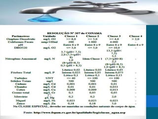 Parâmetros segundo a RESOLUÇÃO
CONAMA N° 367
 
