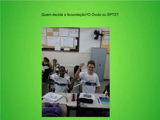 Quem decide a fecundação?O Óvulo ou SPTZ?
 