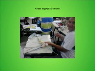 Aedes aegytpti: É o bicho!
 