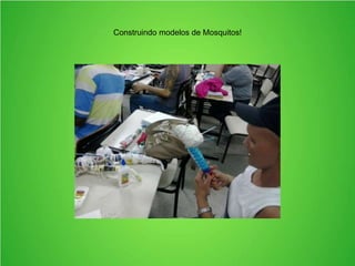 Construindo modelos de Mosquitos!
 