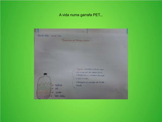 A vida numa garrafa PET...
 