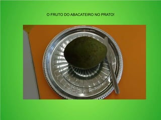 O FRUTO DO ABACATEIRO NO PRATO!
 