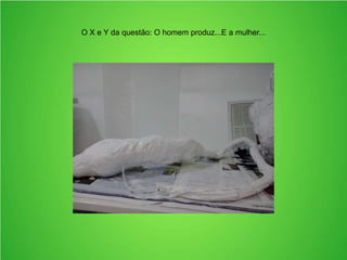 O X e Y da questão: O homem produz...E a mulher...
 