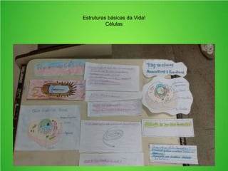 Estruturas básicas da Vida!
Células
 