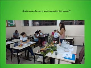 Quais são as formas e funcionamentos das plantas?
 