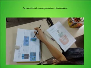 Esquematizando e comparando as observações...
 