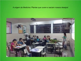 A origem da Medicina: Plantas que curam e saciam nossos desejos!
 