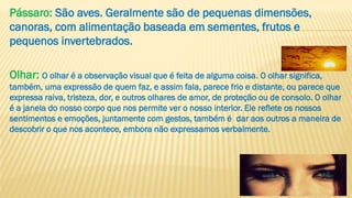 Pássaro: São aves. Geralmente são de pequenas dimensões,
canoras, com alimentação baseada em sementes, frutos e
pequenos invertebrados.
Olhar: O olhar é a observação visual que é feita de alguma coisa. O olhar significa,
também, uma expressão de quem faz, e assim fala, parece frio e distante, ou parece que
expressa raiva, tristeza, dor, e outros olhares de amor, de proteção ou de consolo. O olhar
é a janela do nosso corpo que nos permite ver o nosso interior. Ele reflete os nossos
sentimentos e emoções, juntamente com gestos, também é dar aos outros a maneira de
descobrir o que nos acontece, embora não expressamos verbalmente.
 