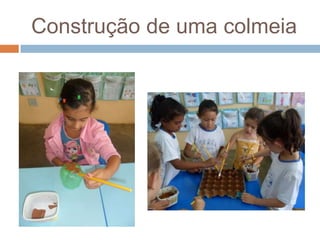 Construção de uma colmeia
 