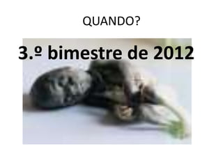 QUANDO?

3.º bimestre de 2012
 