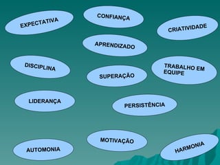 EXPECTATIVA HARMONIA TRABALHO EM EQUIPE   CRIATIVIDADE AUTOMONIA SUPERAÇÃO LIDERANÇA DISCIPLINA APRENDIZADO MOTIVAÇÃO CONFIANÇA PERSISTÊNCIA 