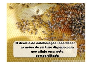 OOOO desafiodesafiodesafiodesafio dadadada colaboraçãocolaboraçãocolaboraçãocolaboração:::: coordenarcoordenarcoordenarcoordenar
asasasas açõesaçõesaçõesações de um timede um timede um timede um time dispersodispersodispersodisperso paraparaparapara
quequequeque atinjaatinjaatinjaatinja umaumaumauma metametametameta
compartilhadacompartilhadacompartilhadacompartilhada
Photo Credit:
http://www.flickr.com/photos/wheatfields/116810137
 