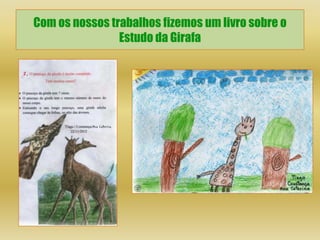 Com os nossos trabalhos fizemos um livro sobre o
                Estudo da Girafa
 