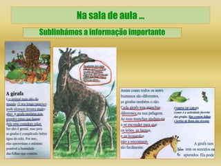 Na sala de aula …
Sublinhámos a informação importante
 