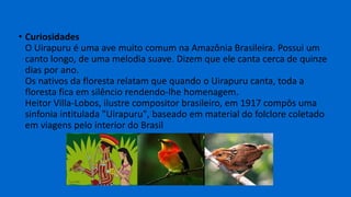 • Curiosidades
O Uirapuru é uma ave muito comum na Amazônia Brasileira. Possui um
canto longo, de uma melodia suave. Dizem que ele canta cerca de quinze
dias por ano.
Os nativos da floresta relatam que quando o Uirapuru canta, toda a
floresta fica em silêncio rendendo-lhe homenagem.
Heitor Villa-Lobos, ilustre compositor brasileiro, em 1917 compôs uma
sinfonia intitulada "Uirapuru", baseado em material do folclore coletado
em viagens pelo interior do Brasil
 