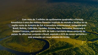 Com mais de 7 milhões de quilômetros quadrados a Floresta
Amazônica é uma das maiores florestas tropicais do mundo e localiza-se na
região norte da América do Sul. A Amazônia Internacional, composta pelo
Brasil, Bolívia, Colômbia, Equador, Guiana, Peru, Suriname, Venezuela e
Guiana Francesa, representa 40% de todo o território desse conjunto de
países. Se olharmos somente o Brasil, equivale a 61% do nosso território e
está presente em nove estados da União.
 