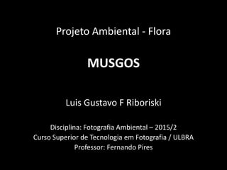 Projeto Ambiental - Flora
MUSGOS
Luis Gustavo F Riboriski
Disciplina: Fotografia Ambiental – 2015/2
Curso Superior de Tecnologia em Fotografia / ULBRA
Professor: Fernando Pires
 