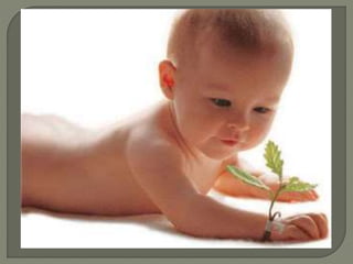 Projeto ambientação água