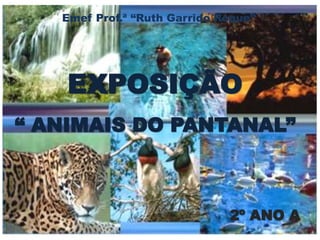 Emef Prof.ª “Ruth Garrido Roque” 
EXPOSIÇÃO 
“ ANIMAIS DO PANTANAL” 
2º ANO A 
 