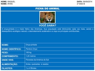 NOME: RAQUEL DATA: 09/09/2014 
NOME: RYAN 2º ANO B 
FICHA DO ANIMAL 
VOCÊ SABIA? 
A onça-pintada é o maior felino das Américas. Sua população está diminuindo cada vez mais, sendo o 
desequilíbrio ecológico natural, o desmatamento acelerado e a caça os principais contribuintes. 
NOME: Onça-pintada 
NOME CIENTÍFICO: Pantera Onça 
PESO: 150 kg 
COMPRIMENTO: 1,20 metros 
ONDE VIVE: Florestas da América do Sul 
ALIMENTAÇÃO: Antas, queixadas e veados 
FILHOTES: 1 a 4 filhotes 
 