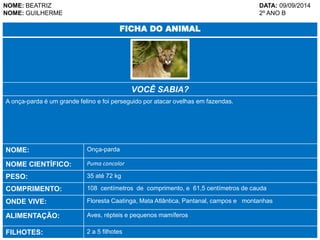 NOME: BEATRIZ DATA: 09/09/2014 
NOME: GUILHERME 2º ANO B 
FICHA DO ANIMAL 
VOCÊ SABIA? 
A onça-parda é um grande felino e foi perseguido por atacar ovelhas em fazendas. 
NOME: Onça-parda 
NOME CIENTÍFICO: Puma concolor 
PESO: 35 até 72 kg 
COMPRIMENTO: 108 centímetros de comprimento, e 61,5 centímetros de cauda 
ONDE VIVE: Floresta Caatinga, Mata Atlântica, Pantanal, campos e montanhas 
ALIMENTAÇÃO: Aves, répteis e pequenos mamíferos 
FILHOTES: 2 a 5 filhotes 
 